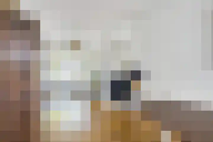 't Goylaan 56 Utrecht thumbnail 9