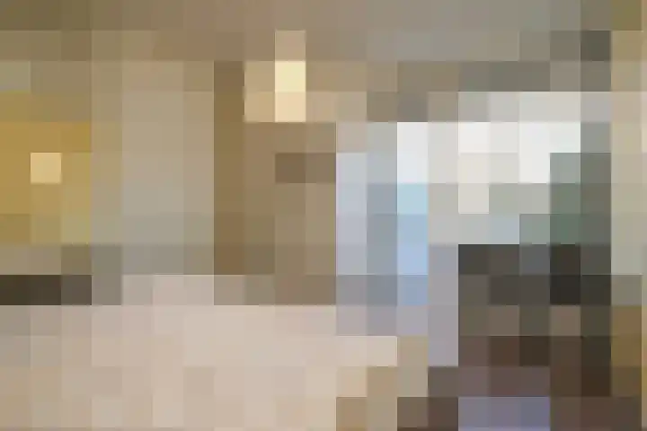 't Grachtje 1 Blaricum thumbnail 10