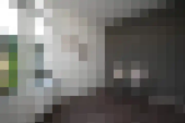 't Grachtje 1 Blaricum thumbnail 12