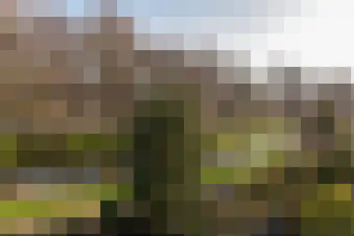't Grachtje over 109 Hoorn thumbnail 18