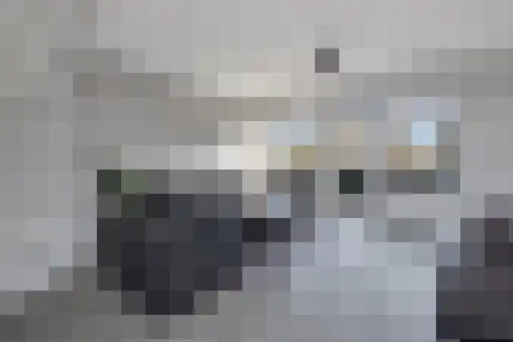 't Grachtje over 110 Hoorn thumbnail 17
