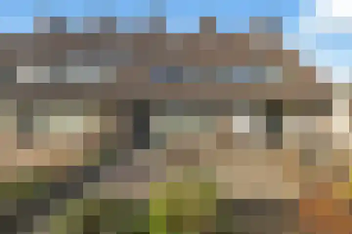 't Grachtje over 110 Hoorn thumbnail 38