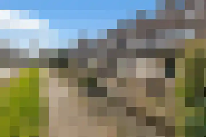 't Grachtje over 110 Hoorn thumbnail 41