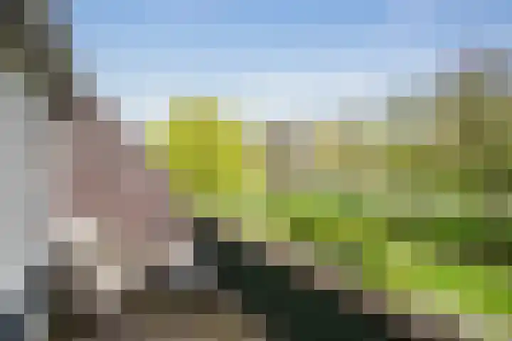 't Grachtje over 110 Hoorn thumbnail 5