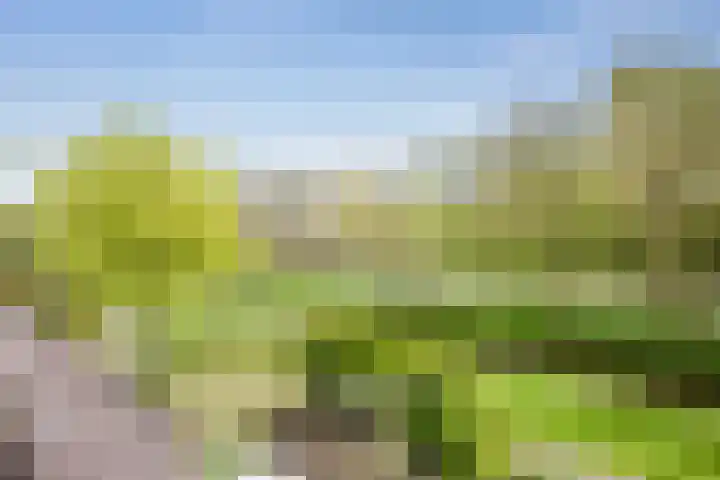 't Grachtje over 110 Hoorn thumbnail 6