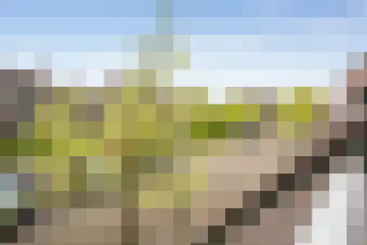't Grachtje over 110 Hoorn thumbnail 7