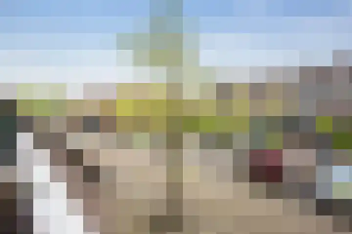 't Grachtje over 110 Hoorn thumbnail 8
