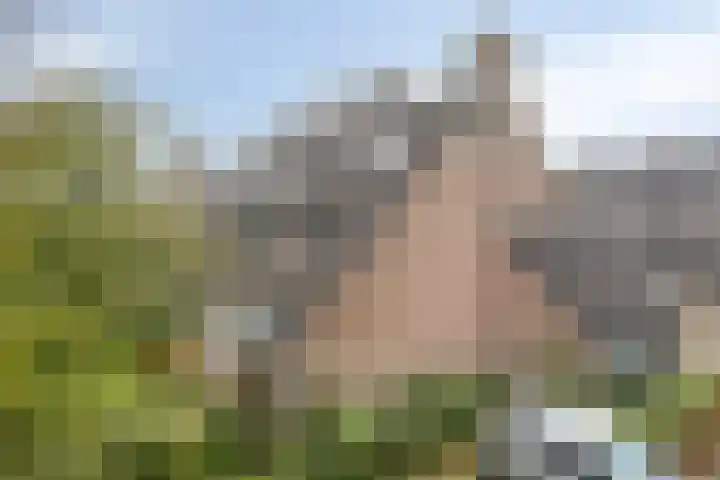 't Grachtje over 121 Hoorn thumbnail 19