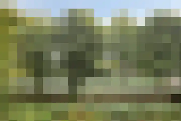 't Grachtje over 121 Hoorn thumbnail 20