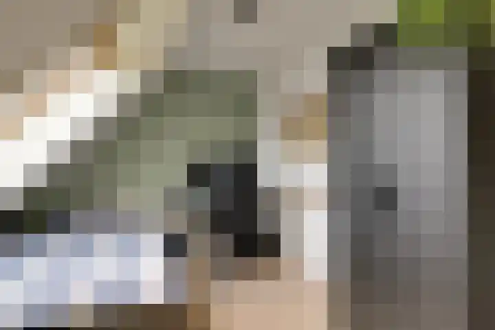 't Grachtje over 126 Hoorn thumbnail 39