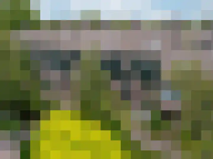 't Grachtje over 144 Hoorn thumbnail 33
