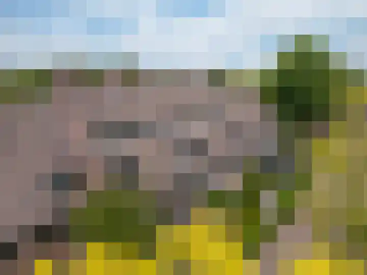 't Grachtje over 144 Hoorn thumbnail 35