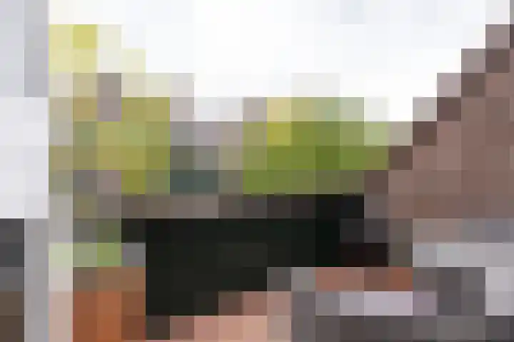 't Grachtje over 144 Hoorn thumbnail 4