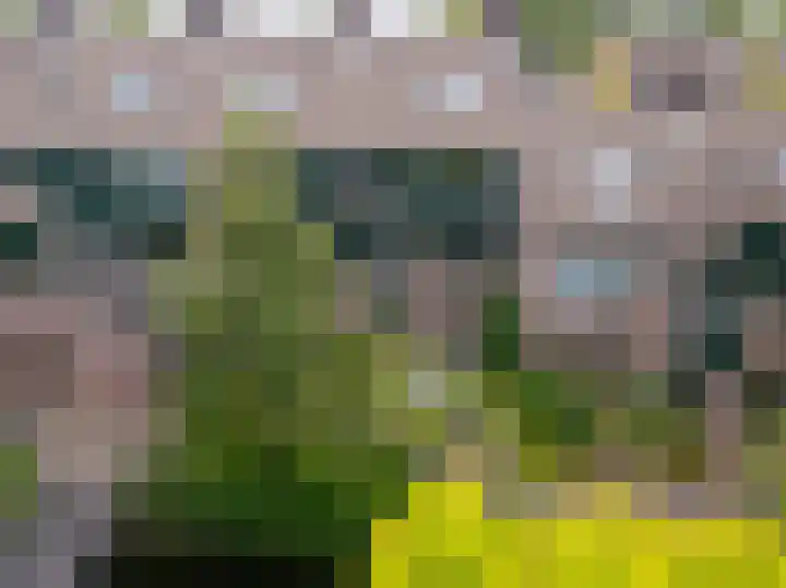 't Grachtje over 144 Hoorn thumbnail 41