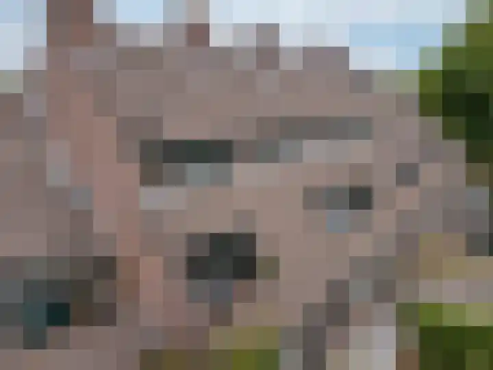 't Grachtje over 144 Hoorn thumbnail 5