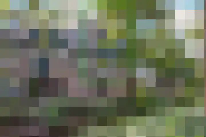 't Grachtje over 151 Hoorn thumbnail 57