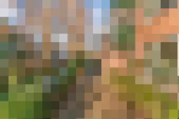 't Grachtje over 154 Hoorn thumbnail 28