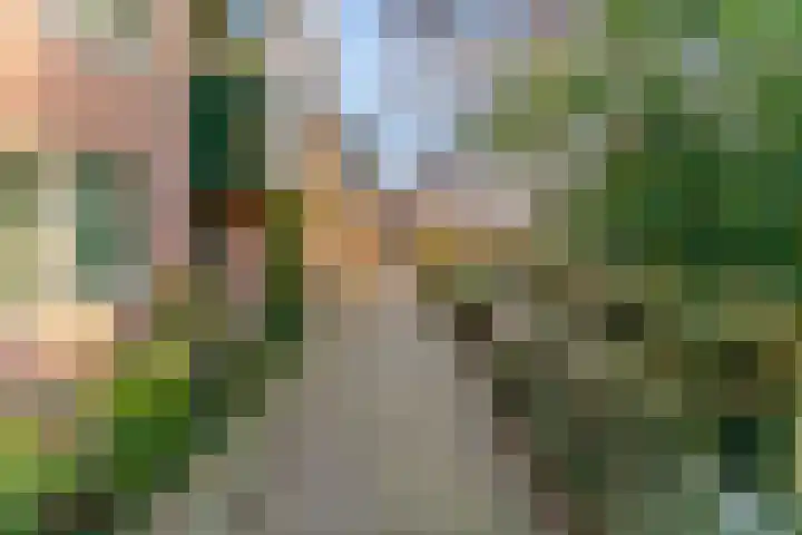 't Grachtje over 154 Hoorn thumbnail 29