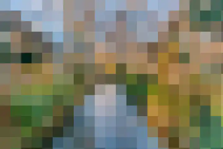 't Grachtje over 154 Hoorn thumbnail 30