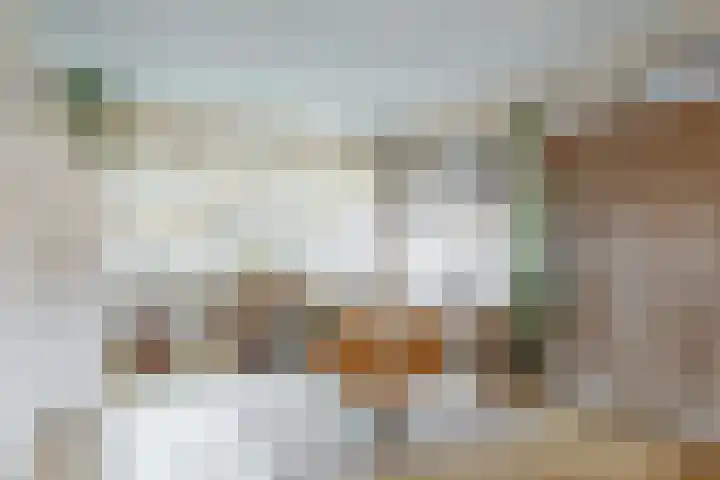 't Grachtje over 154 Hoorn thumbnail 8