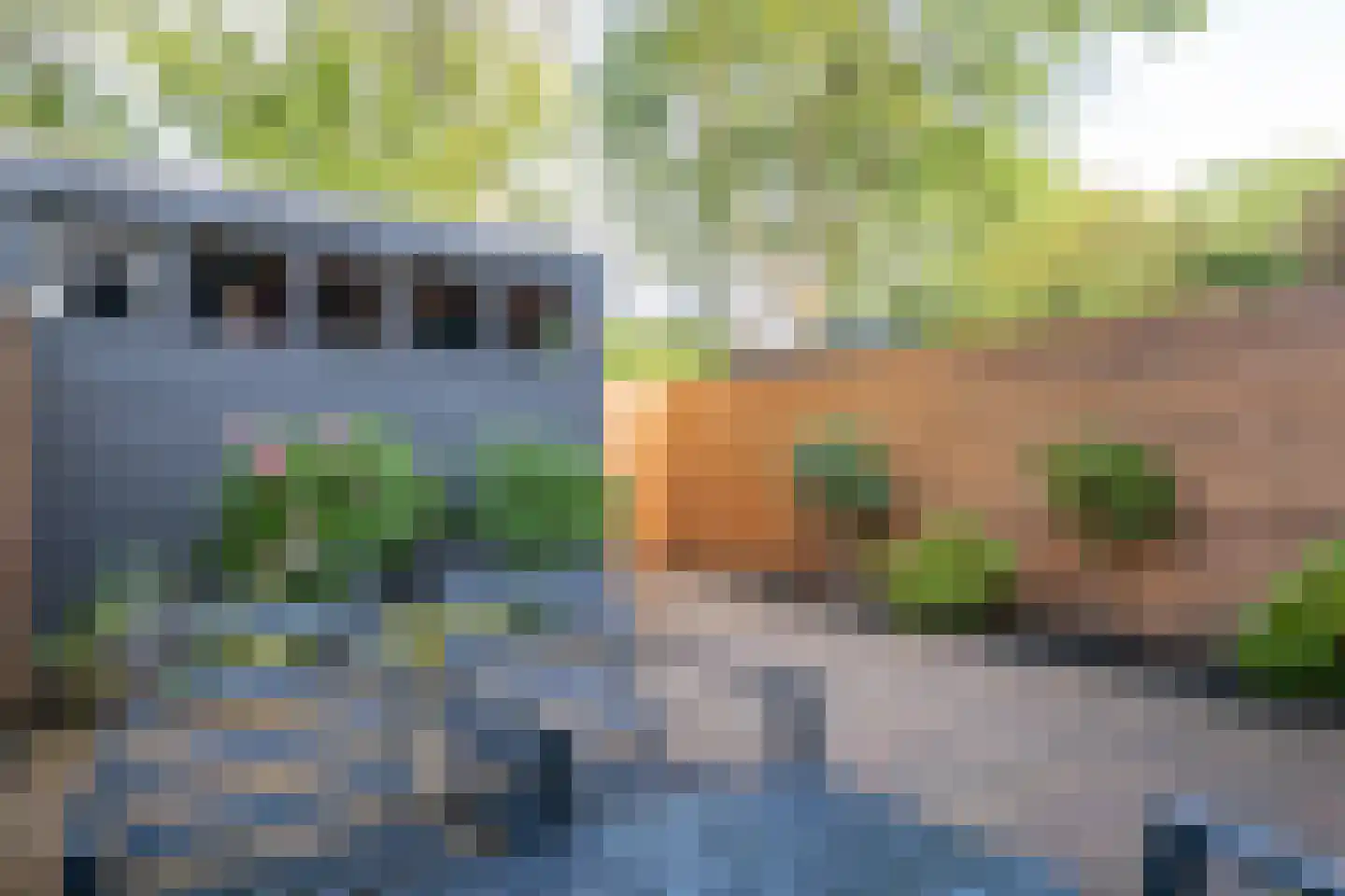 't Grachtje over 31 Hoorn thumbnail 17