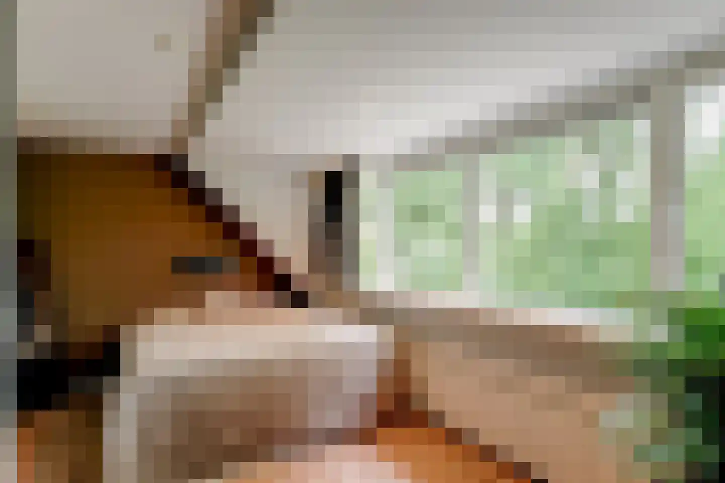 't Grachtje over 31 Hoorn thumbnail 22