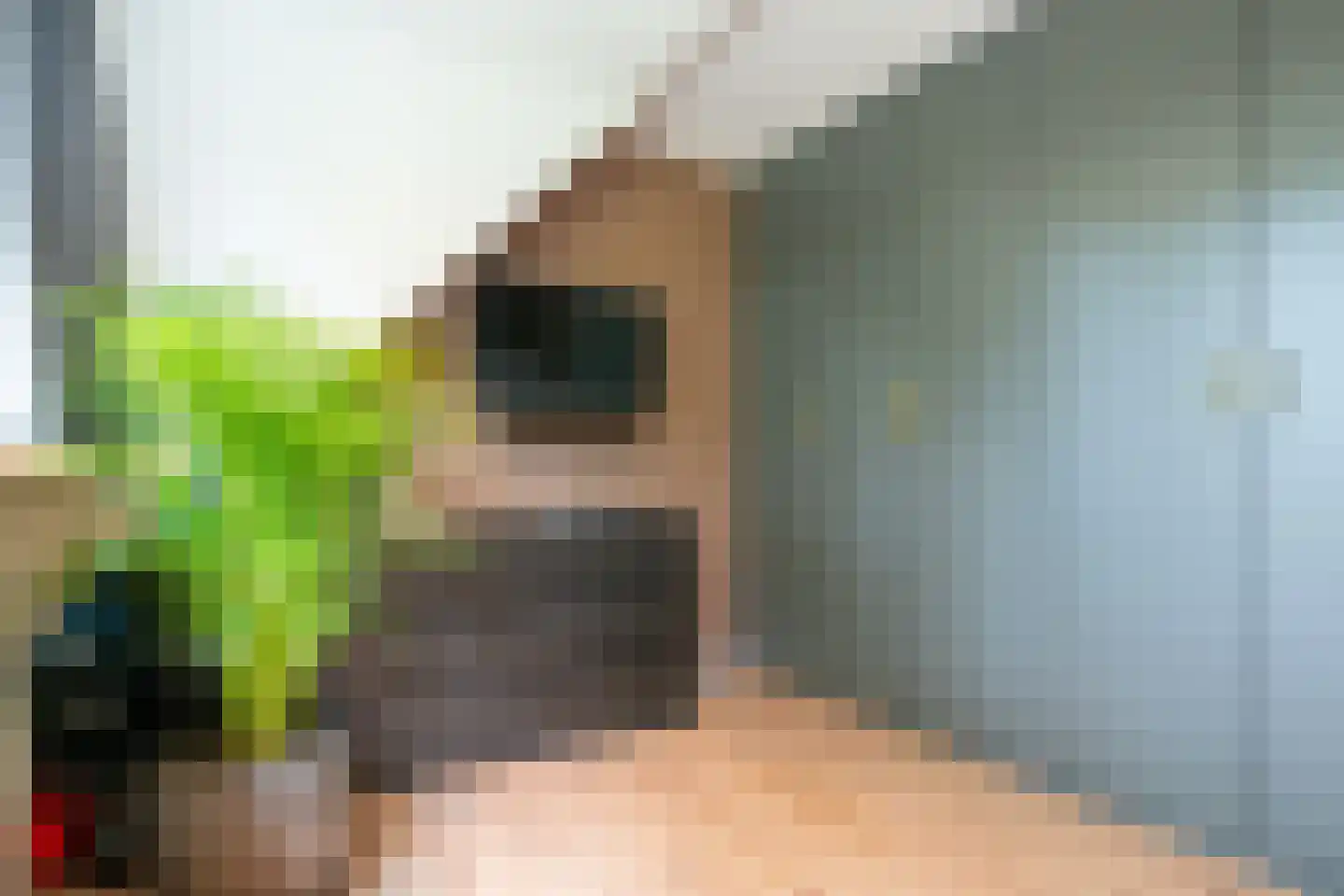 't Grachtje over 31 Hoorn thumbnail 23