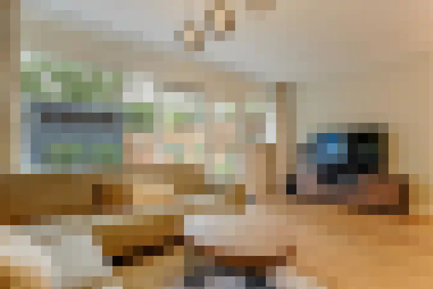 't Grachtje over 31 Hoorn thumbnail 6