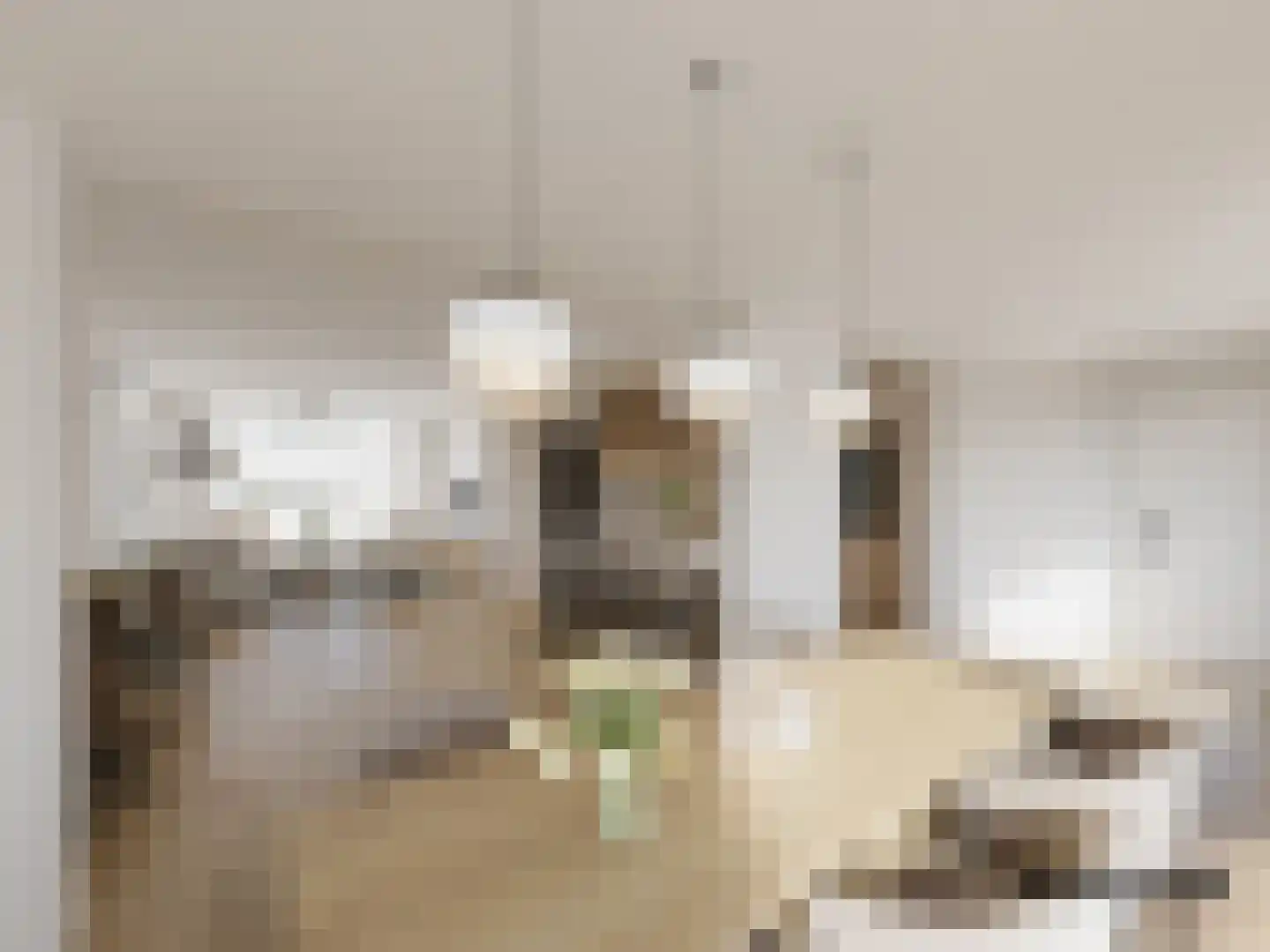 't Greuntsje 6 Gronsveld thumbnail 17