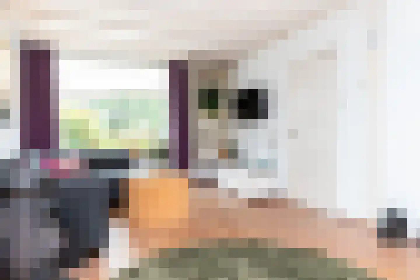 't Haagje 50 Eerbeek thumbnail 11