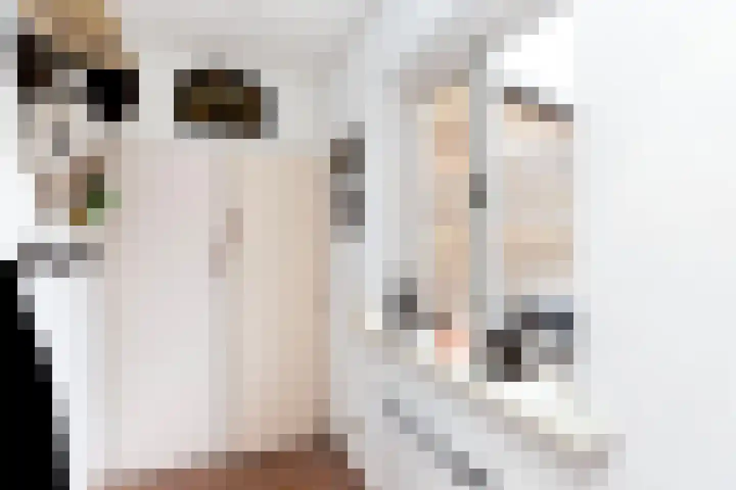't Haagje 50 Eerbeek thumbnail 18