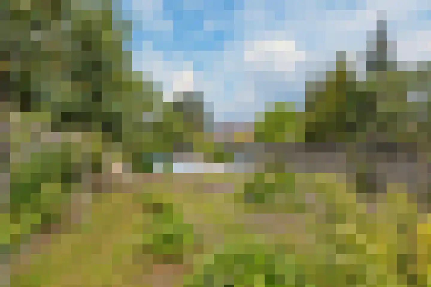 't Haagje 50 Eerbeek thumbnail 28