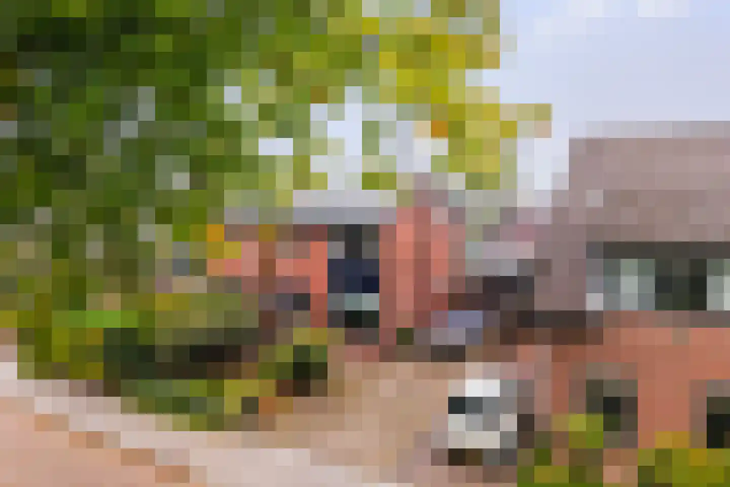 't Haagje 50 Eerbeek thumbnail 6