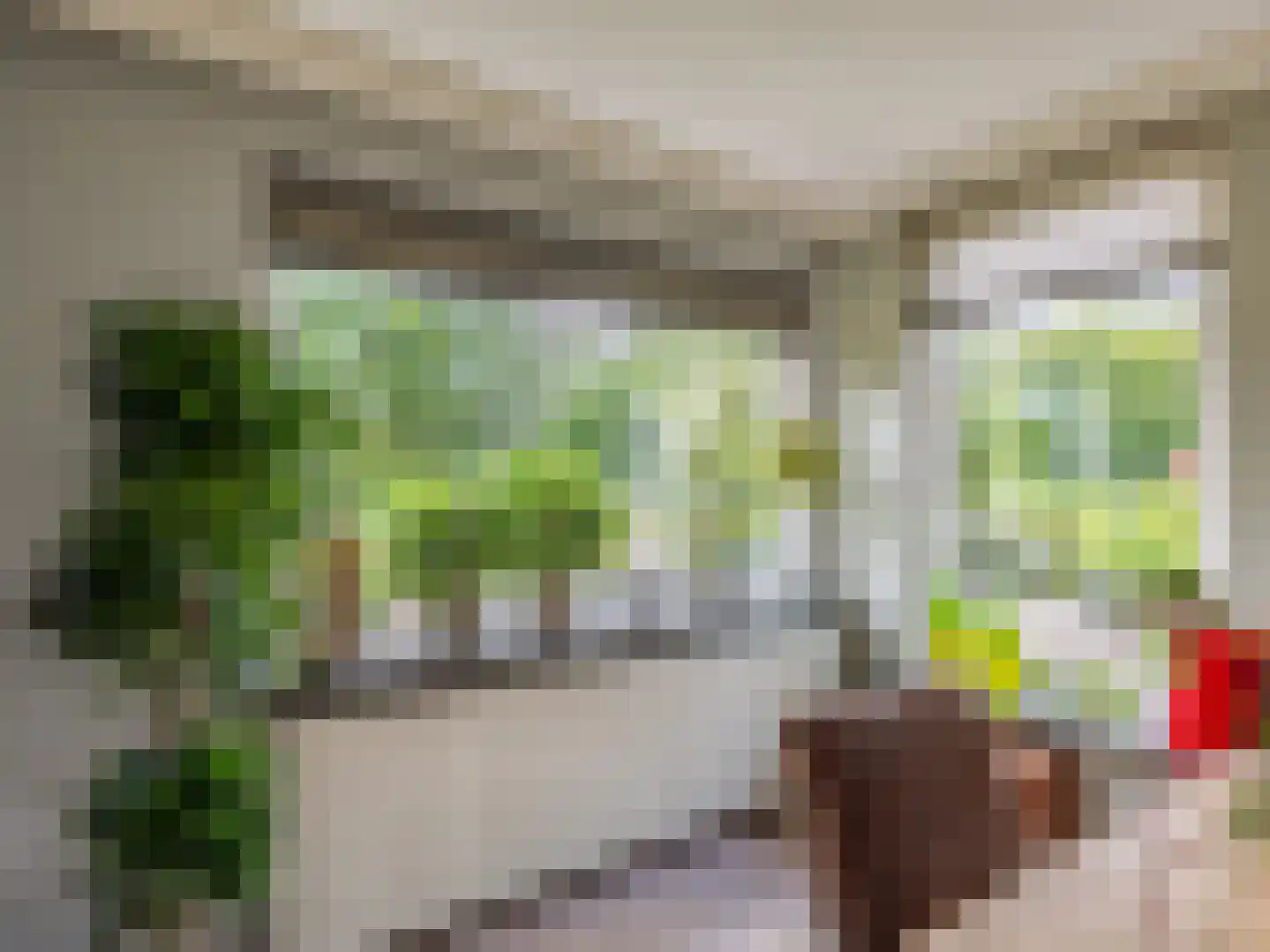 't Haagje 8 Eerbeek thumbnail 11