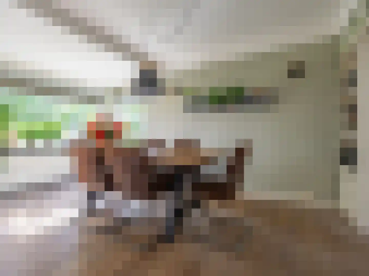 't Haagje 8 Eerbeek thumbnail 13