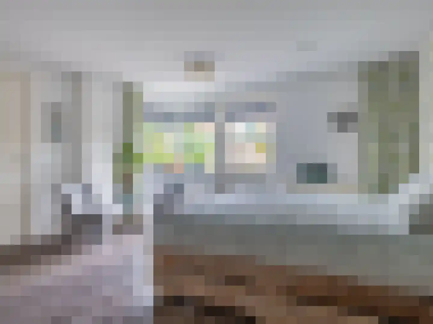 't Haagje 8 Eerbeek thumbnail 21