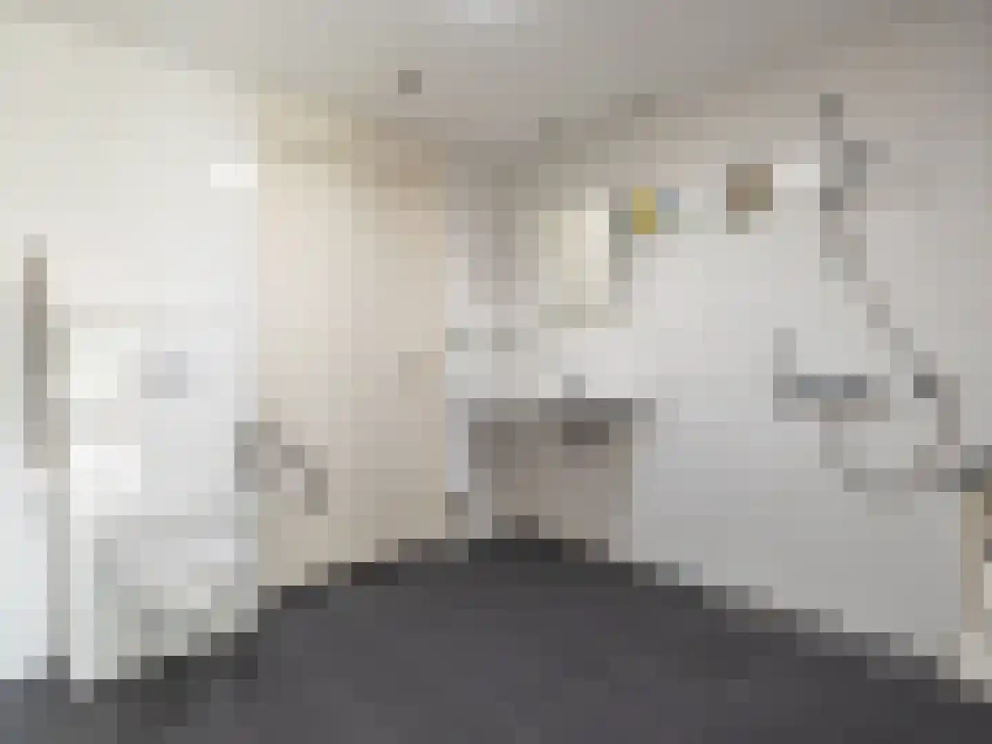 't Haagje 8 Eerbeek thumbnail 23