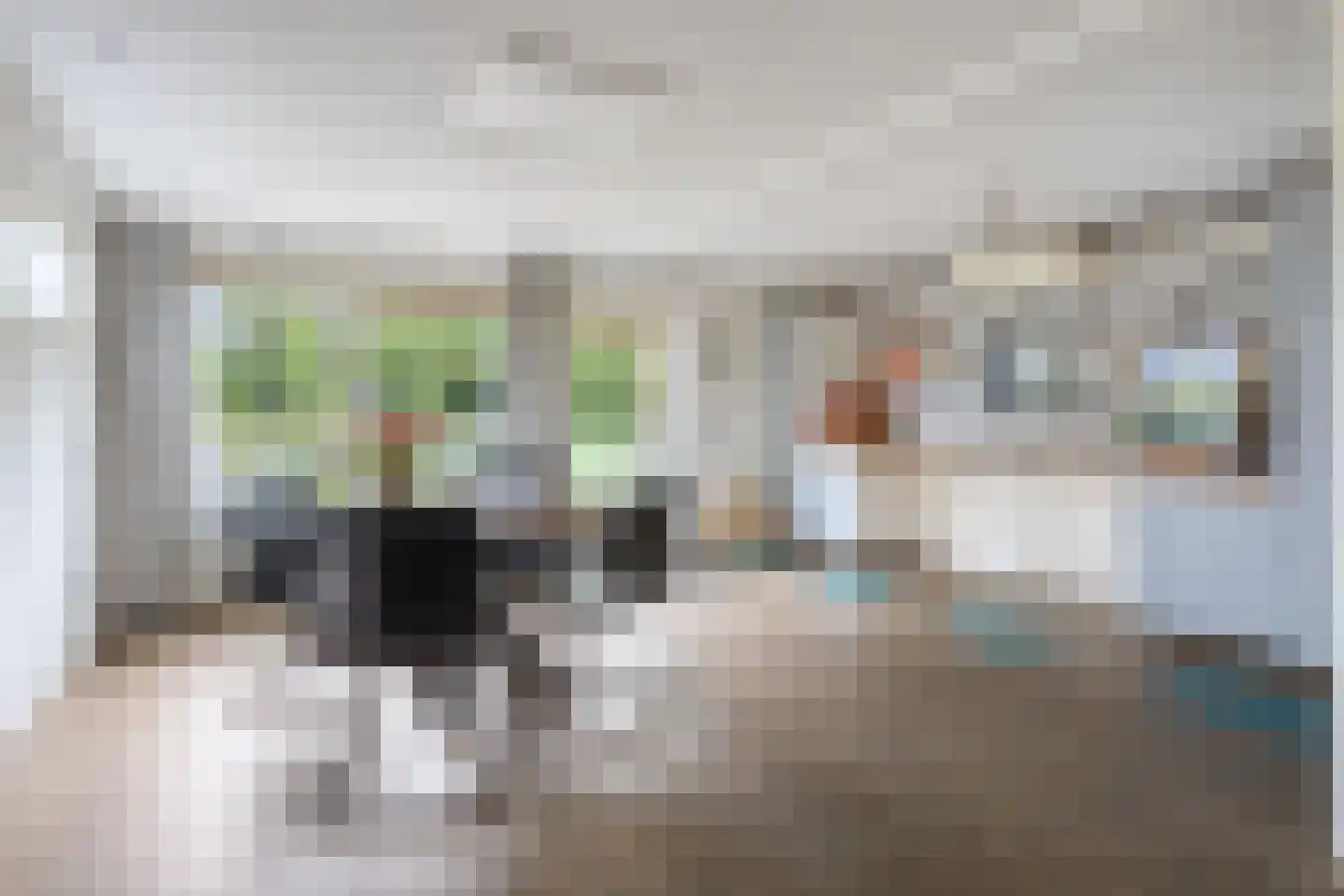 't Haagje 8 Eerbeek thumbnail 24
