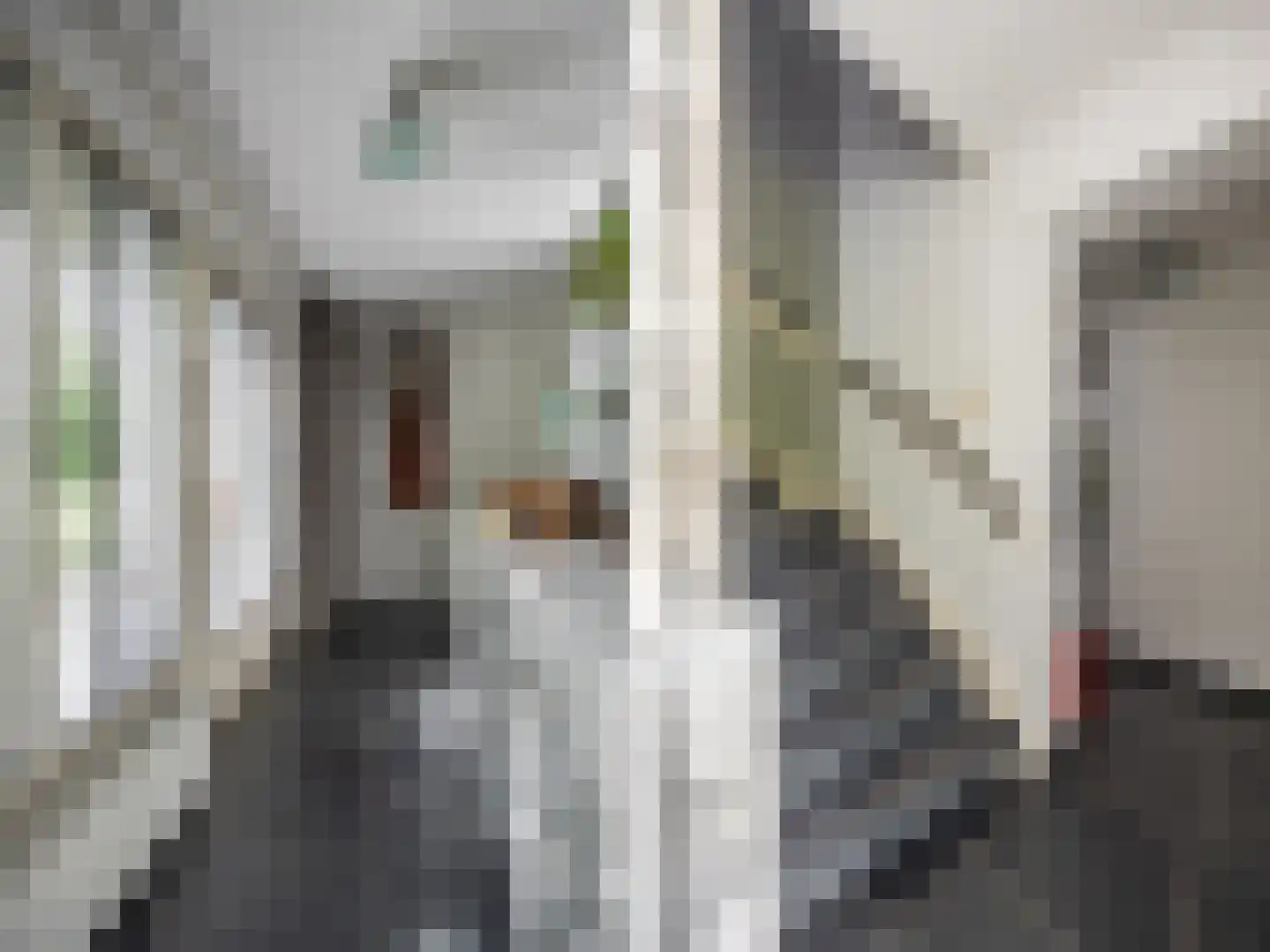 't Haagje 8 Eerbeek thumbnail 27