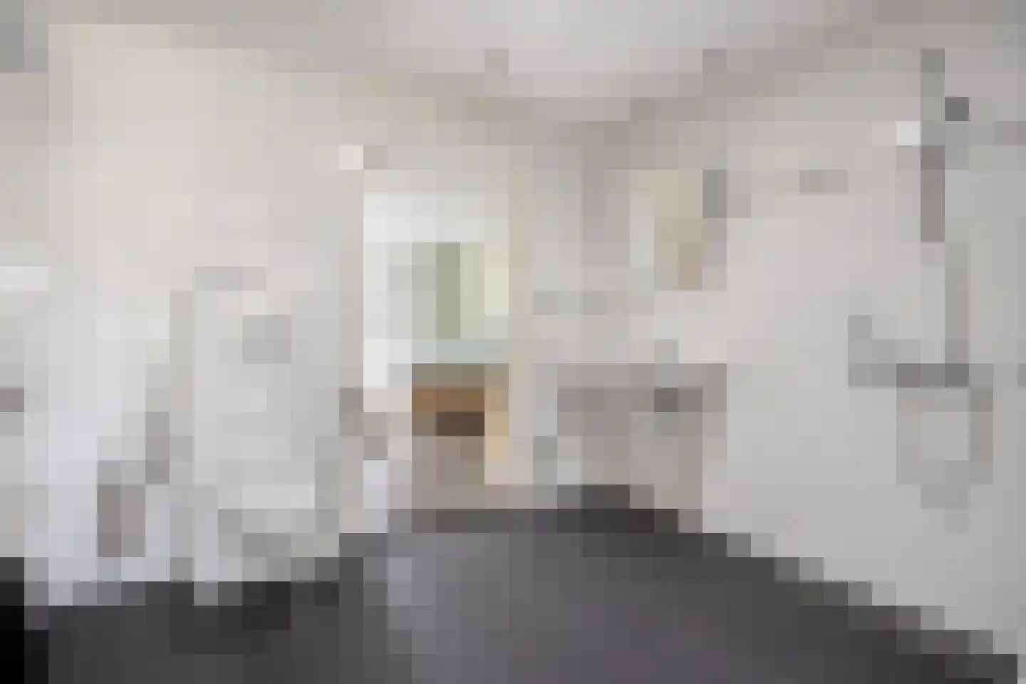 't Haagje 8 Eerbeek thumbnail 30