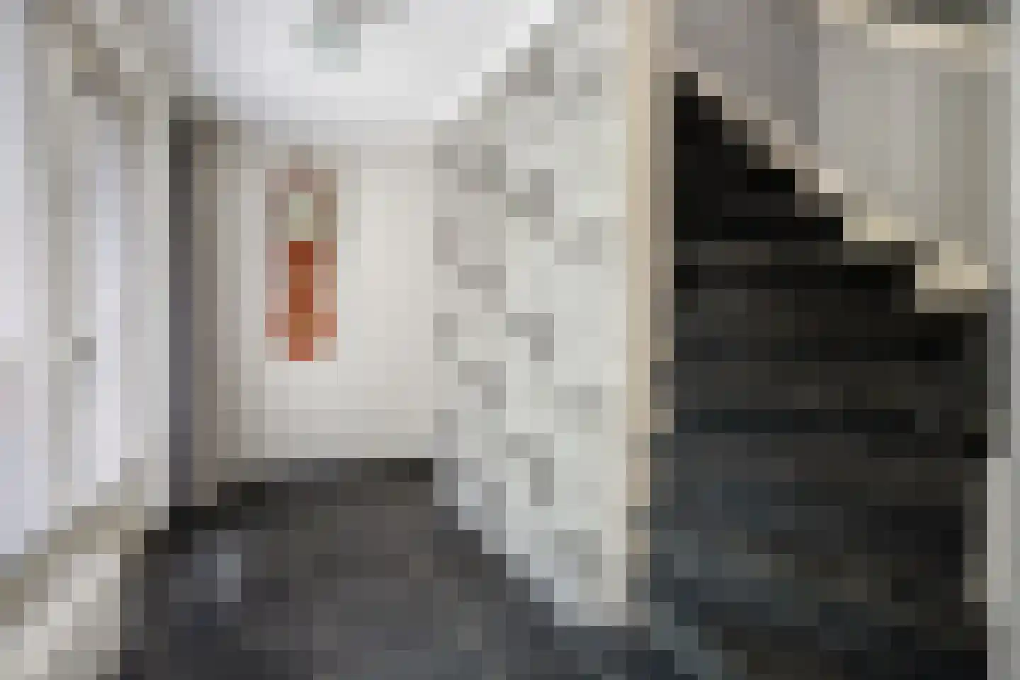 't Haagje 8 Eerbeek thumbnail 33