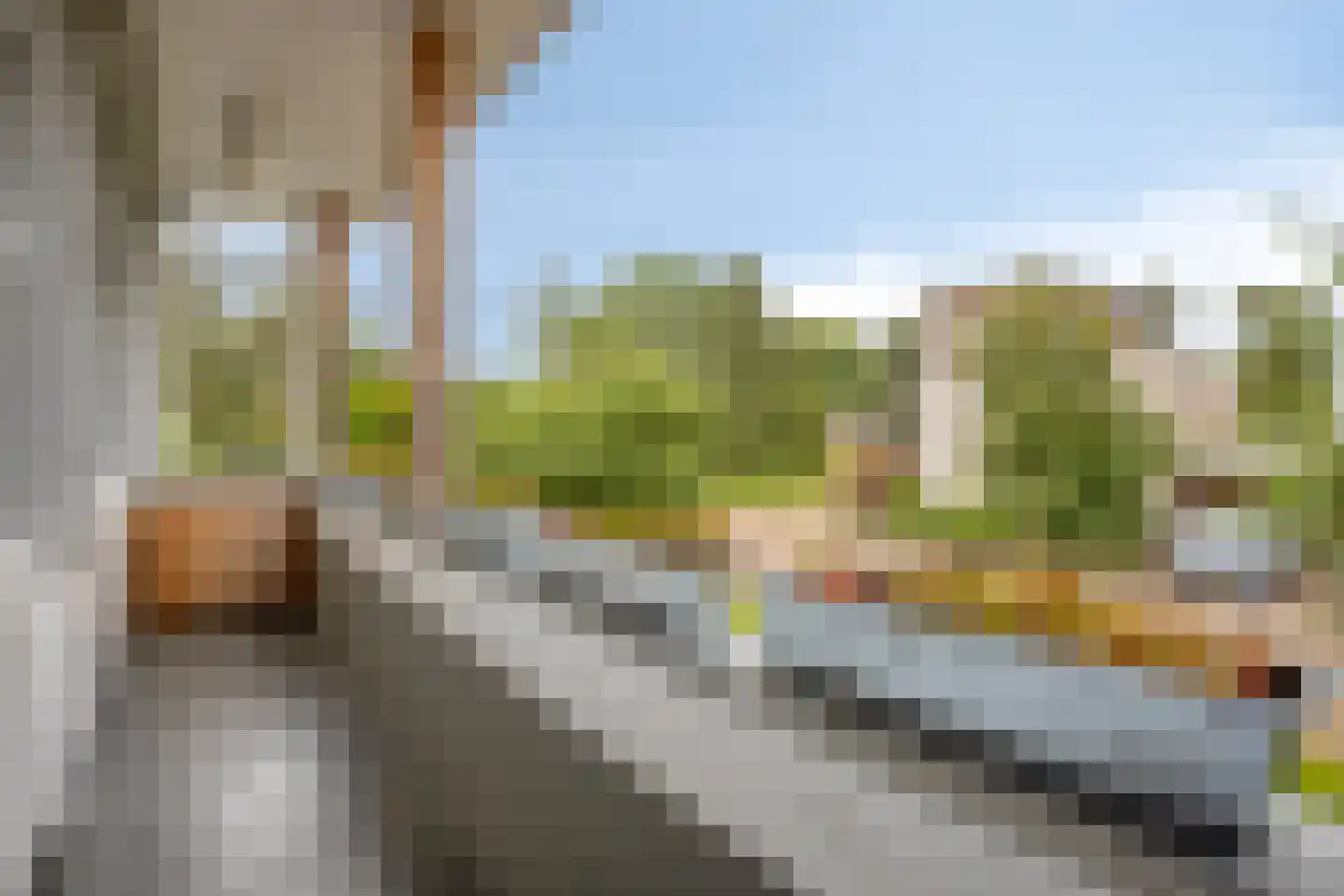 't Haagje 8 Eerbeek thumbnail 37