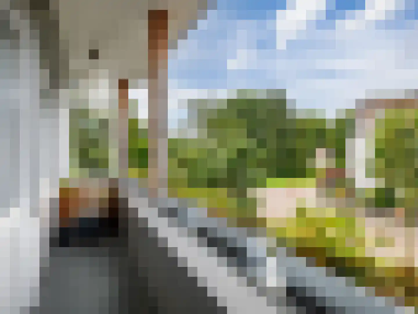 't Haagje 8 Eerbeek thumbnail 38