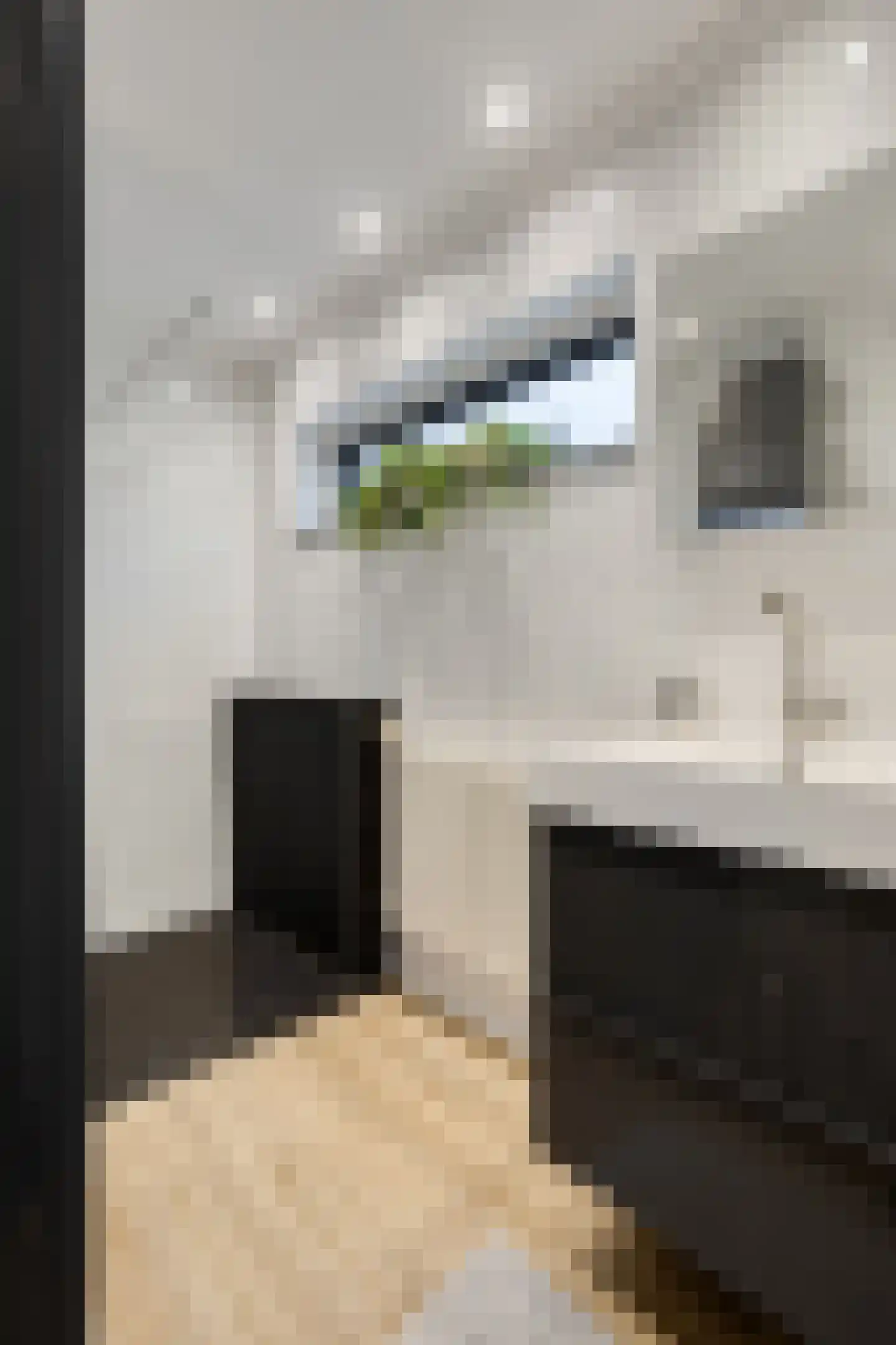 't Haagje 8 Eerbeek thumbnail 38
