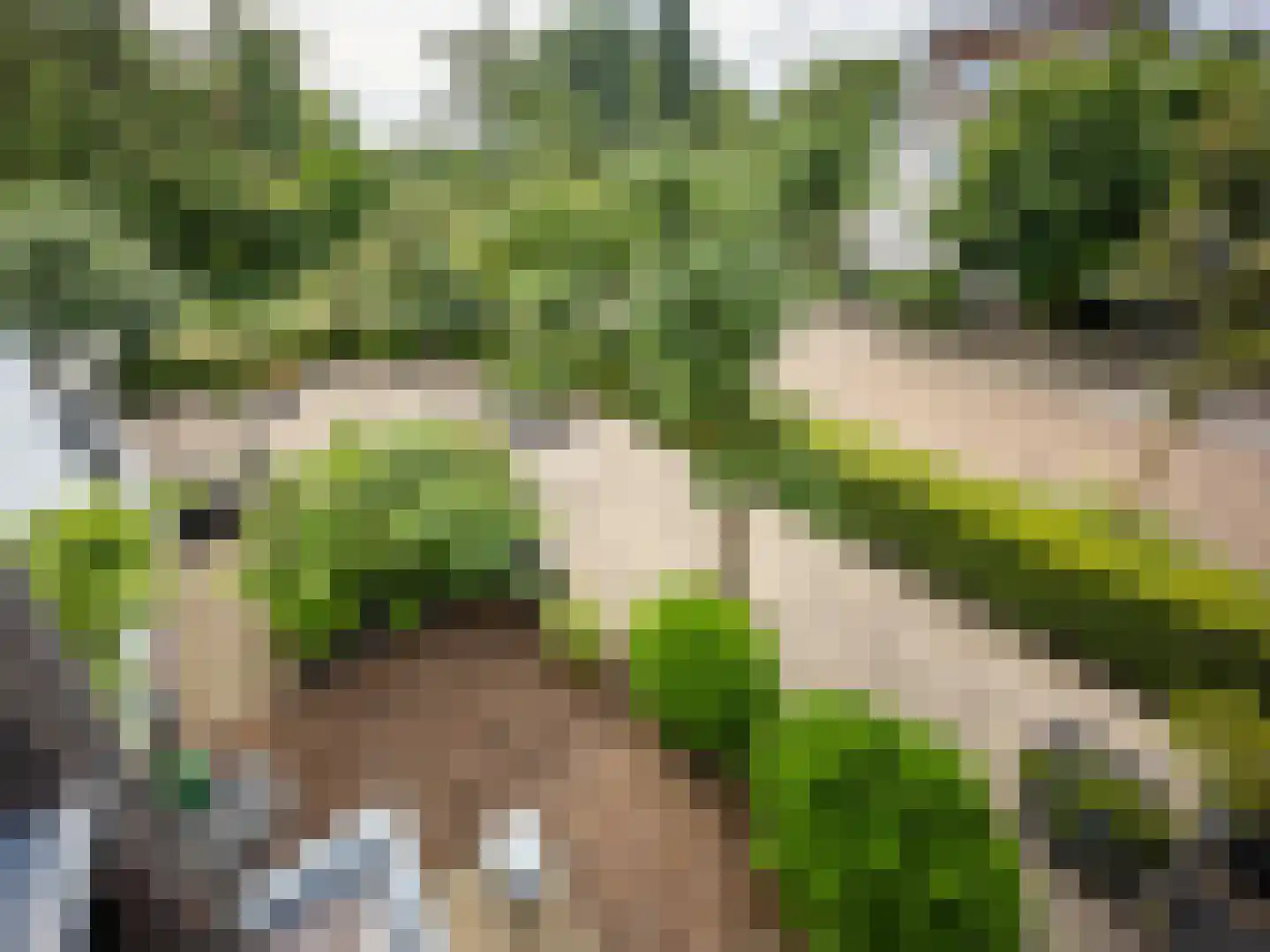't Haagje 8 Eerbeek thumbnail 39