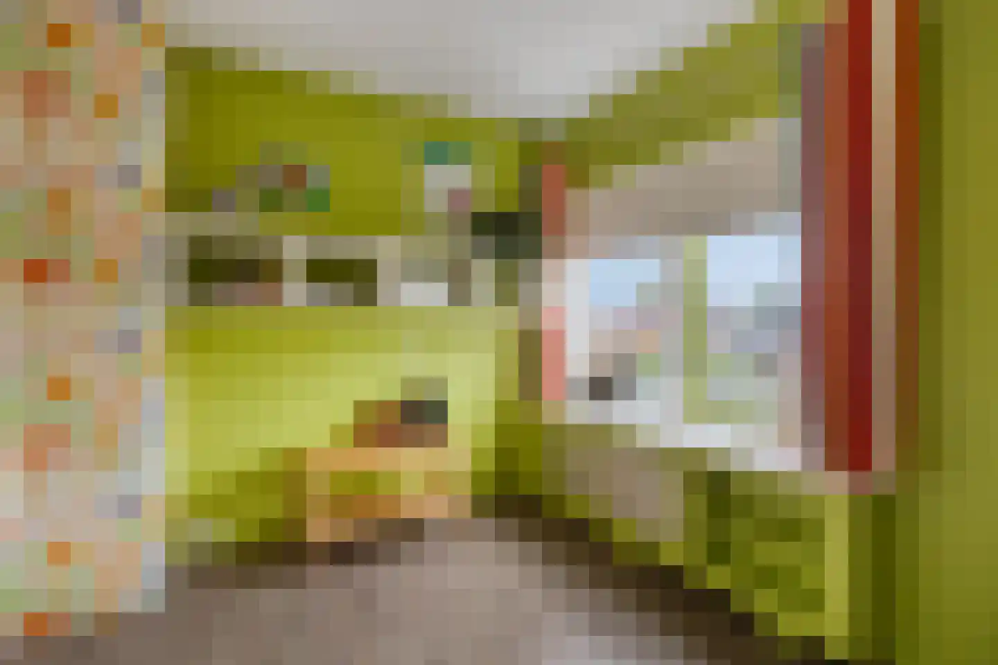 't Haagje 8 Eerbeek thumbnail 42