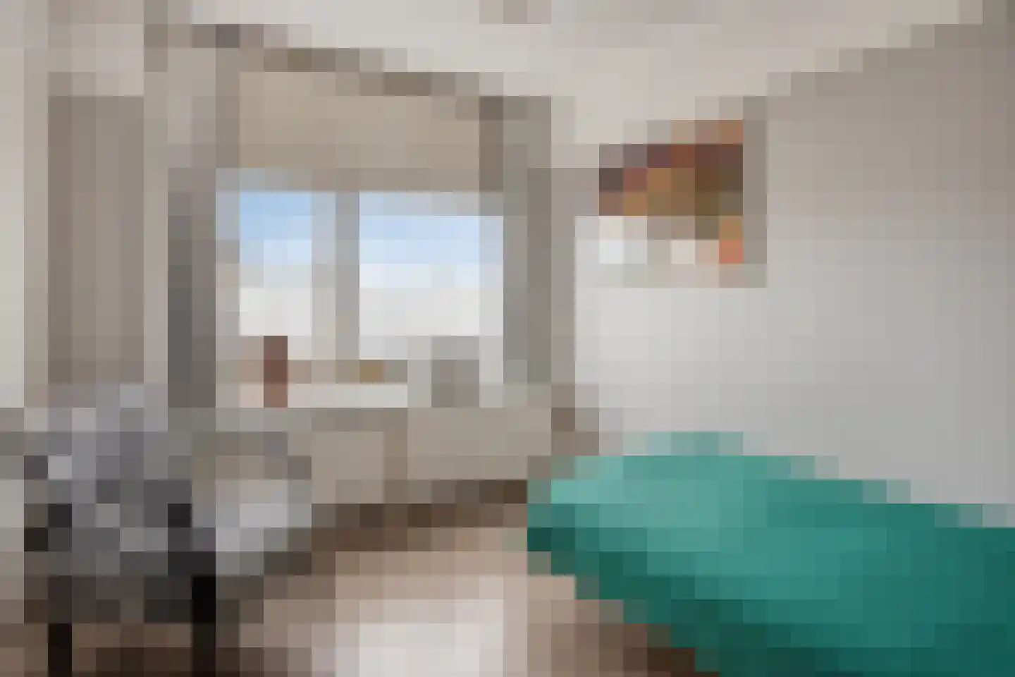 't Haagje 8 Eerbeek thumbnail 43