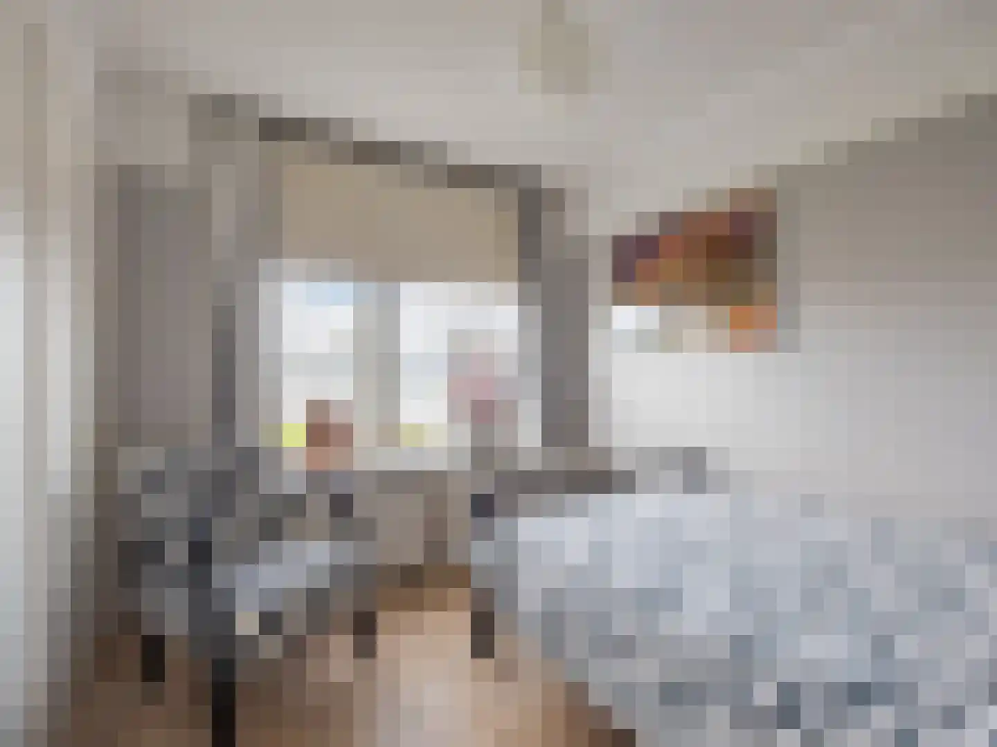 't Haagje 8 Eerbeek thumbnail 44