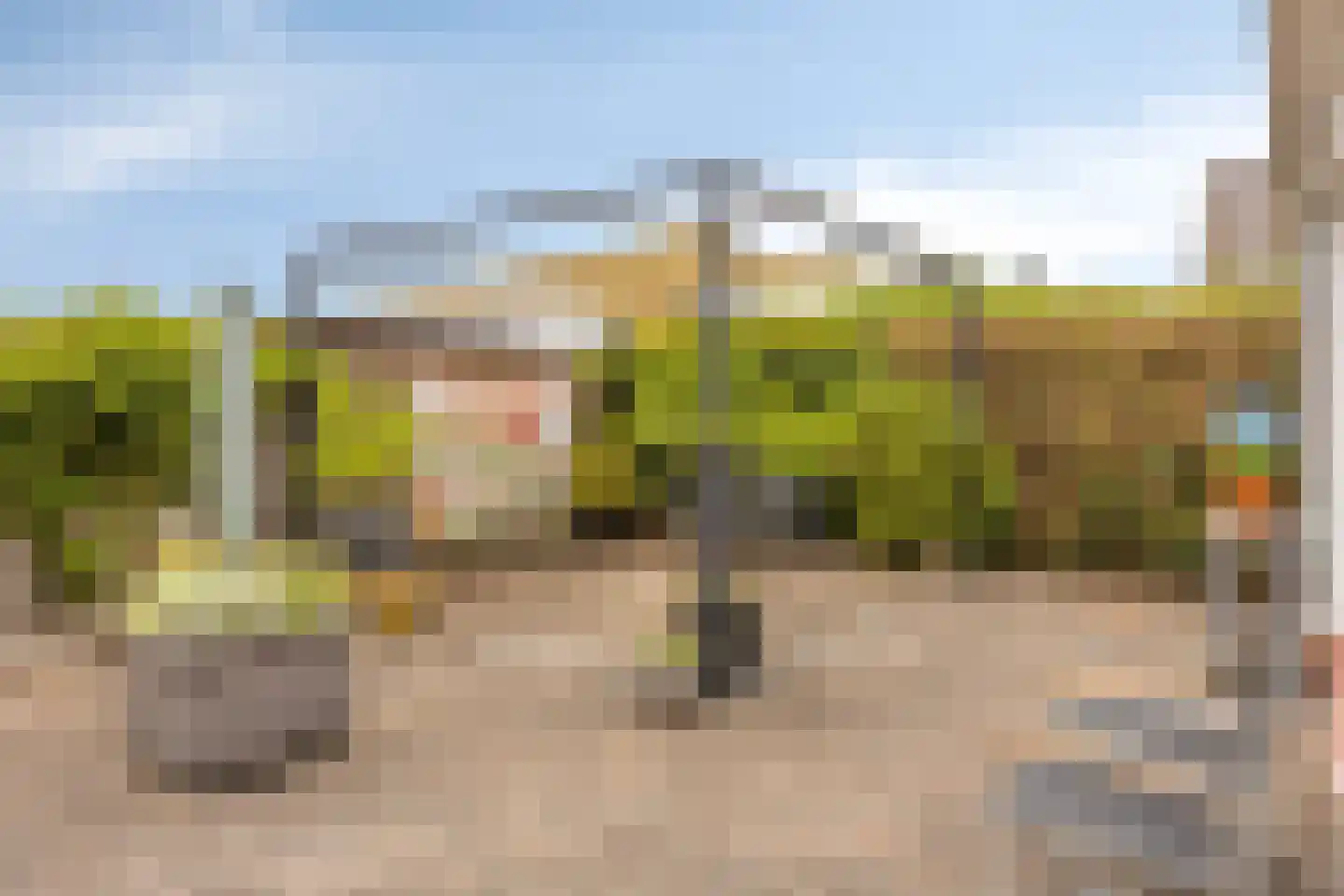 't Haagje 8 Eerbeek thumbnail 45