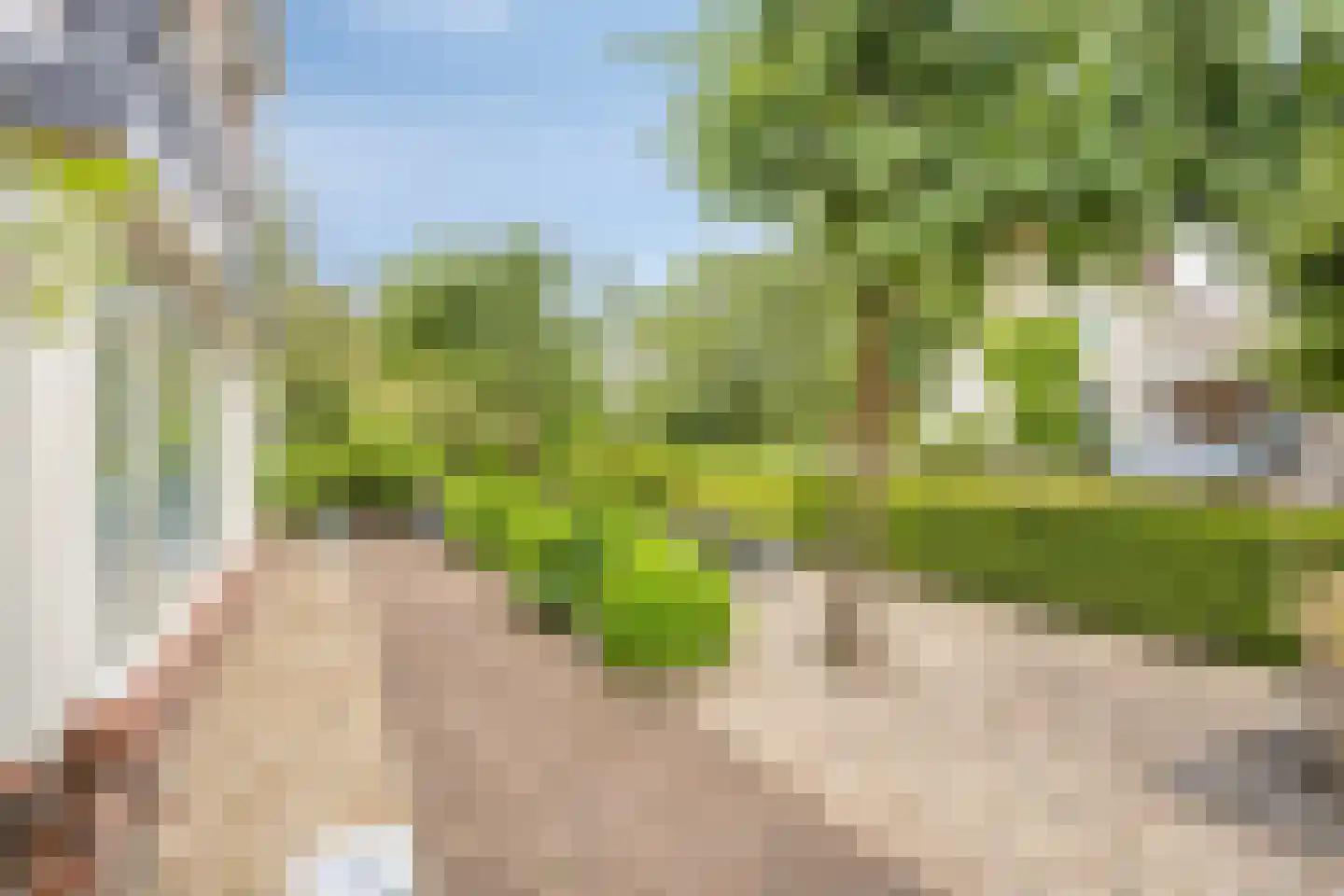 't Haagje 8 Eerbeek thumbnail 47